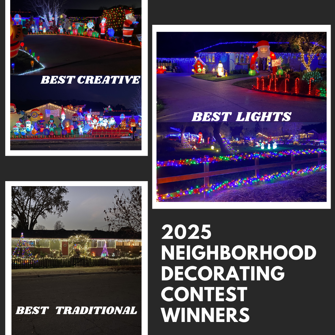 2025 Xmas Winners- Website